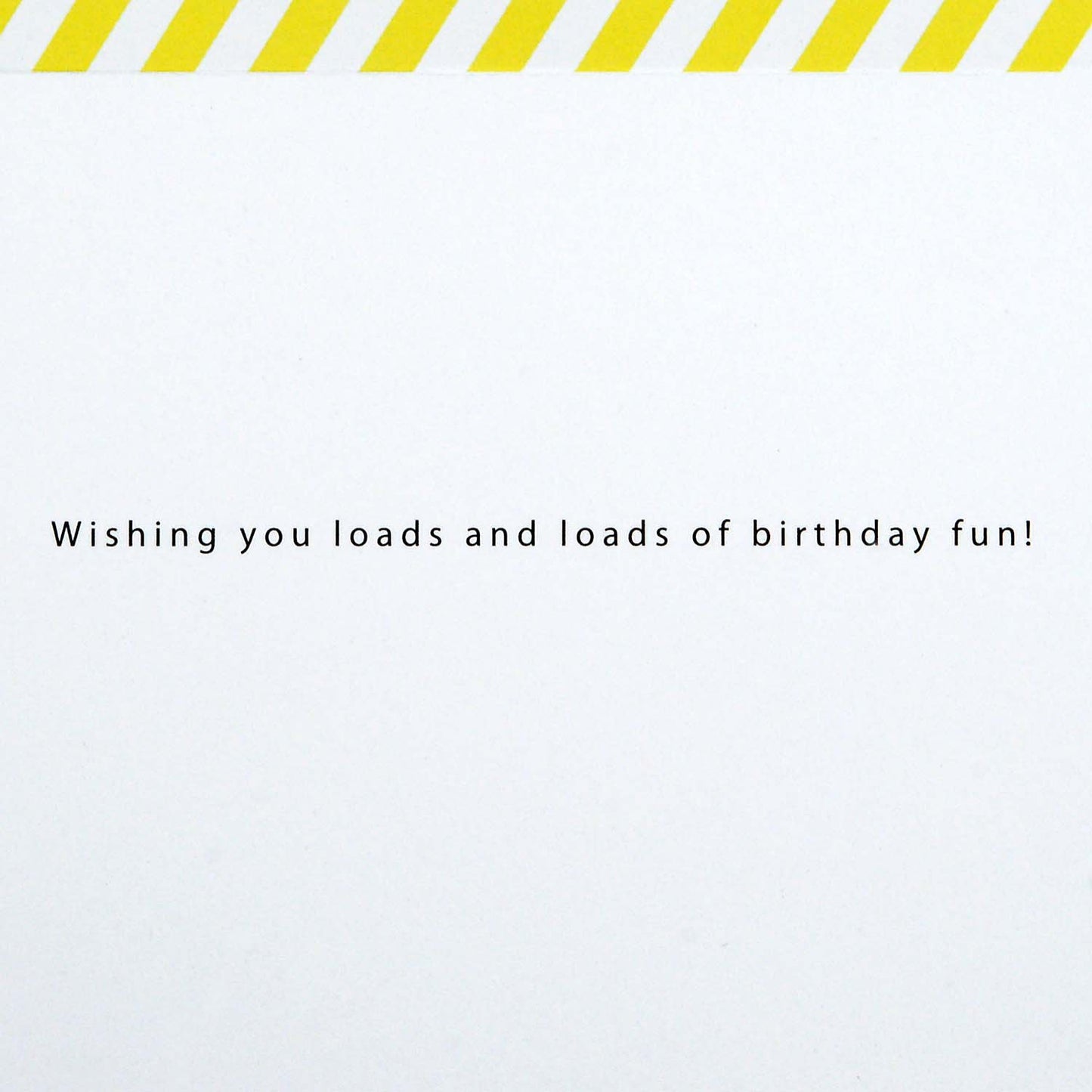 Hallmark Signature Birthday Card (Loads of Birthday Fun)