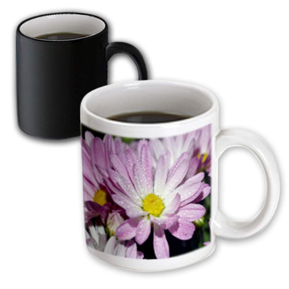 3dRose Potted Mums Light Purple Mums Magic Transforming Mug, 11-Ounce