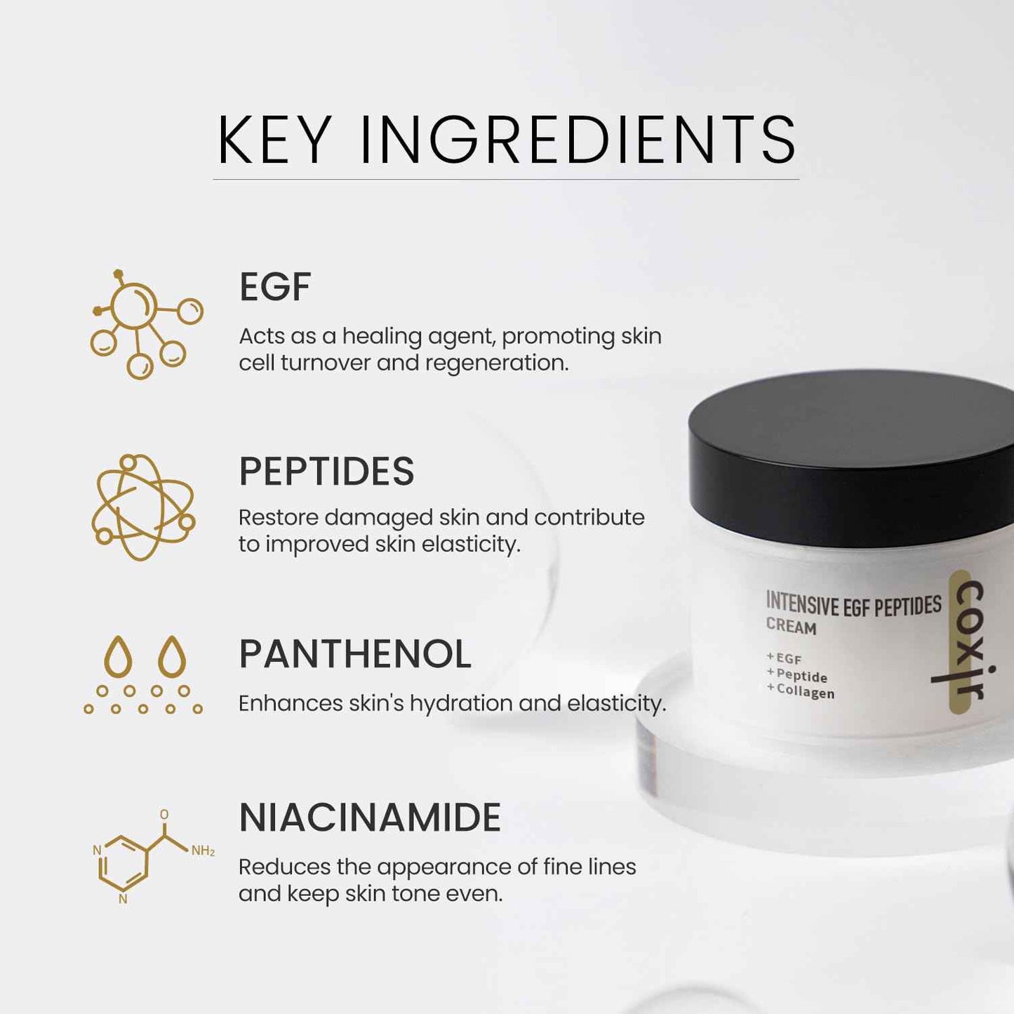 coxir INTENSIVE EGF PEPTIDES CREAM l Day&Night Firming Cream l EGF(Epidermal Growth Factor), Peptides, Niacinamide, Panthenol, Collagen l Korean Skincare [50ml/1.69fl.oz]