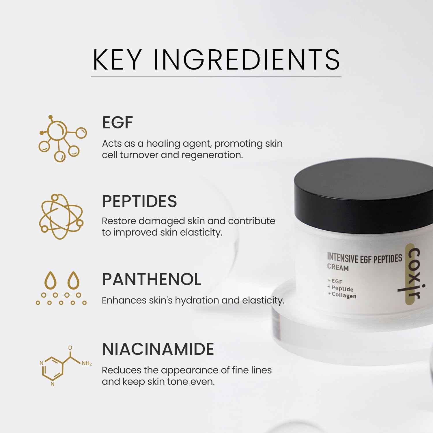 coxir INTENSIVE EGF PEPTIDES CREAM l Day&Night Firming Cream l EGF(Epidermal Growth Factor), Peptides, Niacinamide, Panthenol, Collagen l Korean Skincare [50ml/1.69fl.oz]