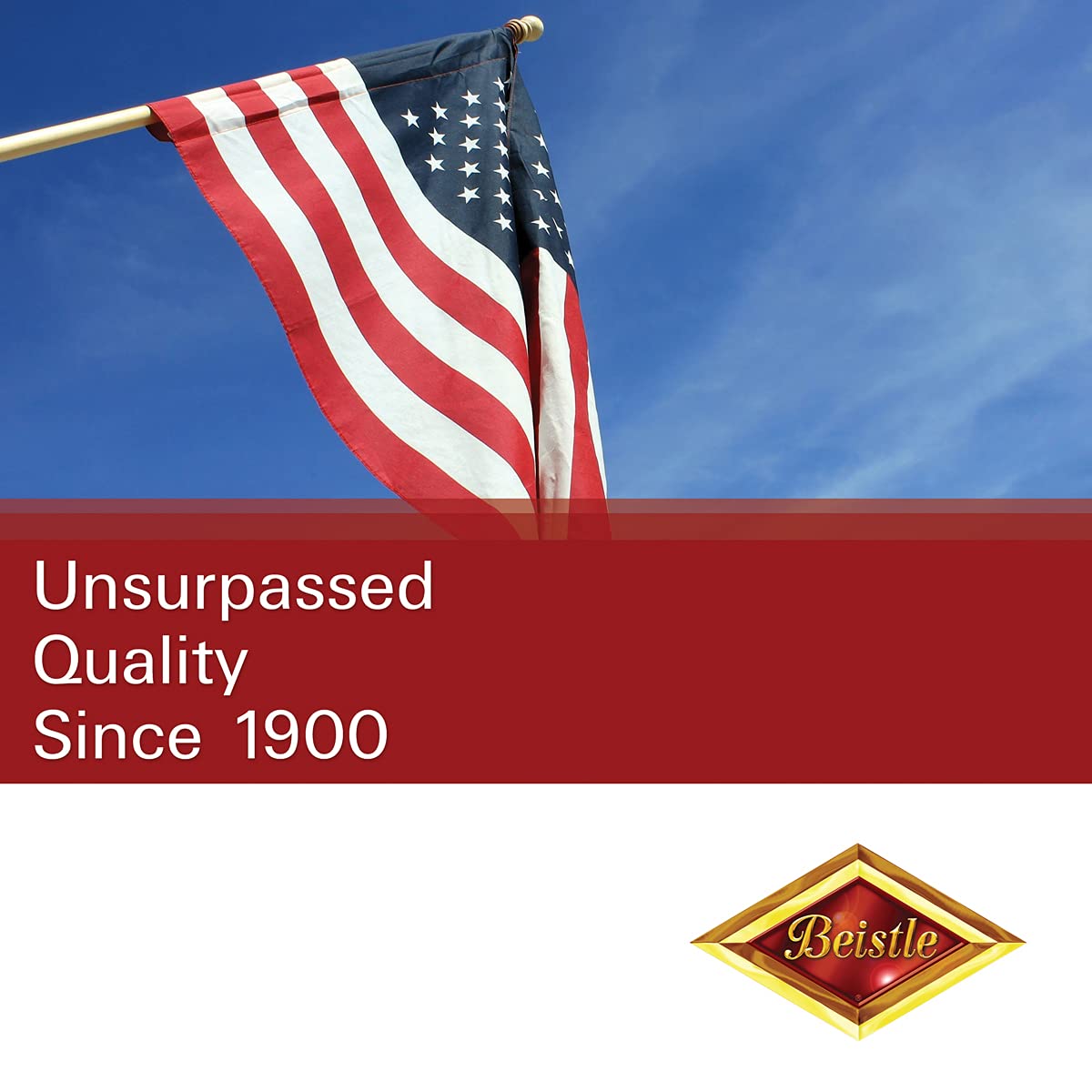 Beistle Cow Print Plates