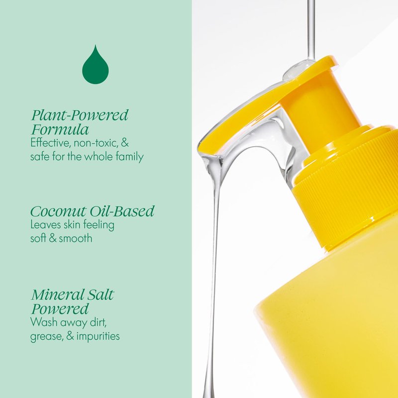Safely Hand Soap - Plant-Based Moisturizing Aloe & Coconut Formula with Signature Bright Scent | Paraben-Free, Skin-Calming | Liquid Hand Soap Refill, 12 fl oz, Pack of 6
