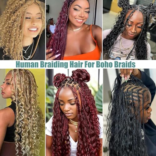Deep Wave Bulk Human Hair for Braiding No Weft Human Braiding Hair For Boho Braids Brazilian Virgin Human Hair Extensions 100g 2 Bundles Human Hair 22Inch 27#