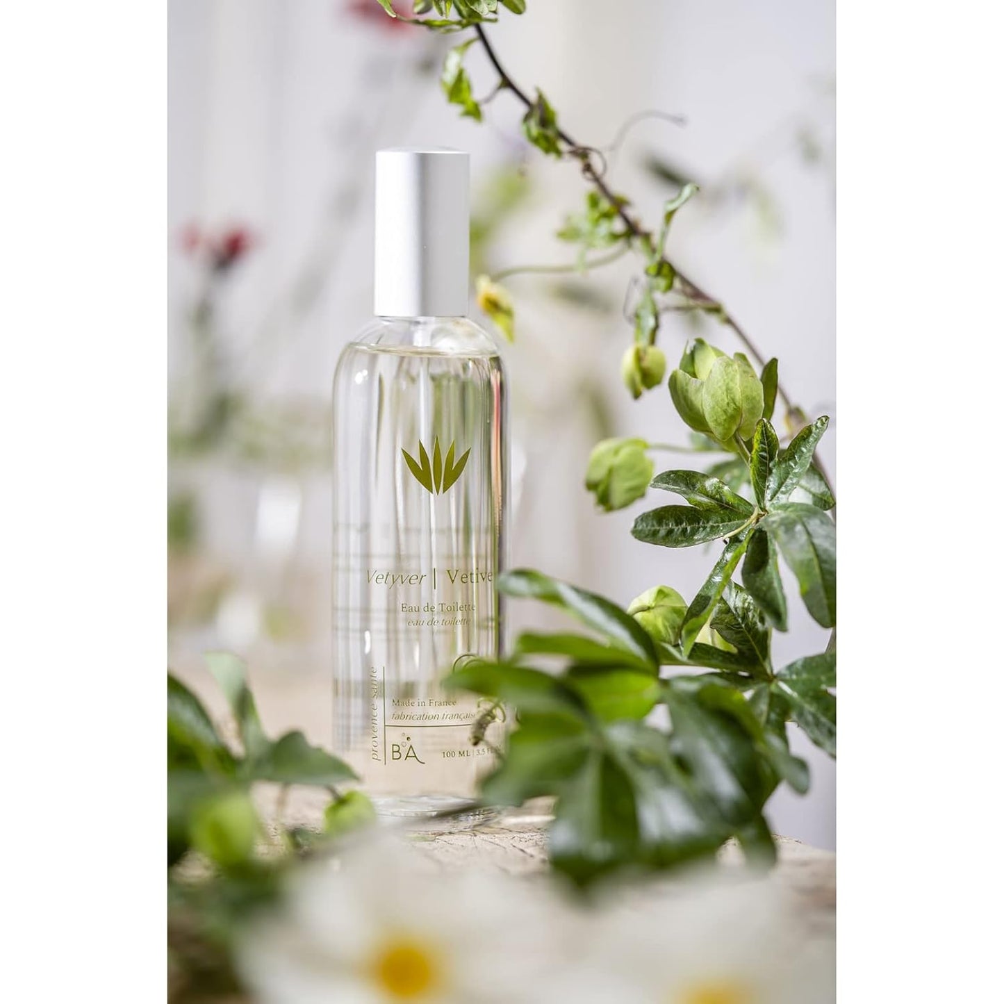 Provence Sante Eau de Toilette Spray - Vetiver Scent Luxury Perfume - Elegant Gift - 3.5 Oz