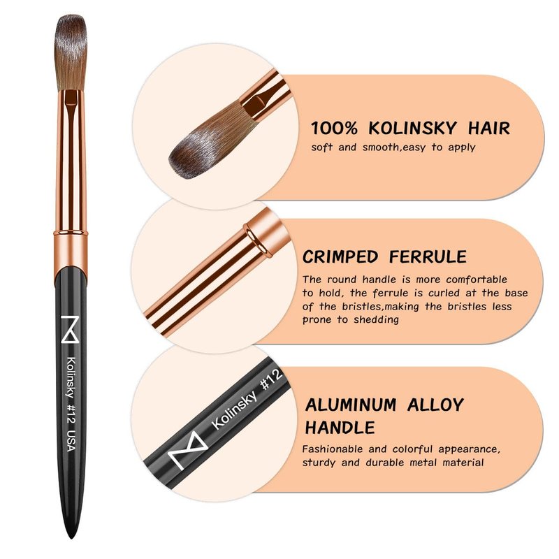 M – Regal 100% Kolinsky Acrylic Nail Brush | Professional Acrylic Nail Sculpting & Application Brush | Premium Nail Art Tool for Nail Technicians & Artists (#16)