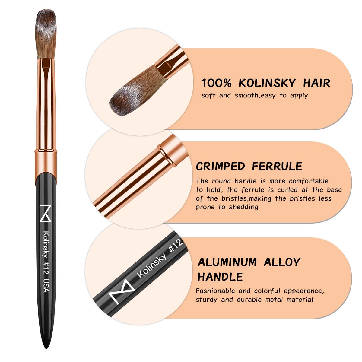 M – Regal 100% Kolinsky Acrylic Nail Brush | Professional Acrylic Nail Sculpting & Application Brush | Premium Nail Art Tool for Nail Technicians & Artists (#12)