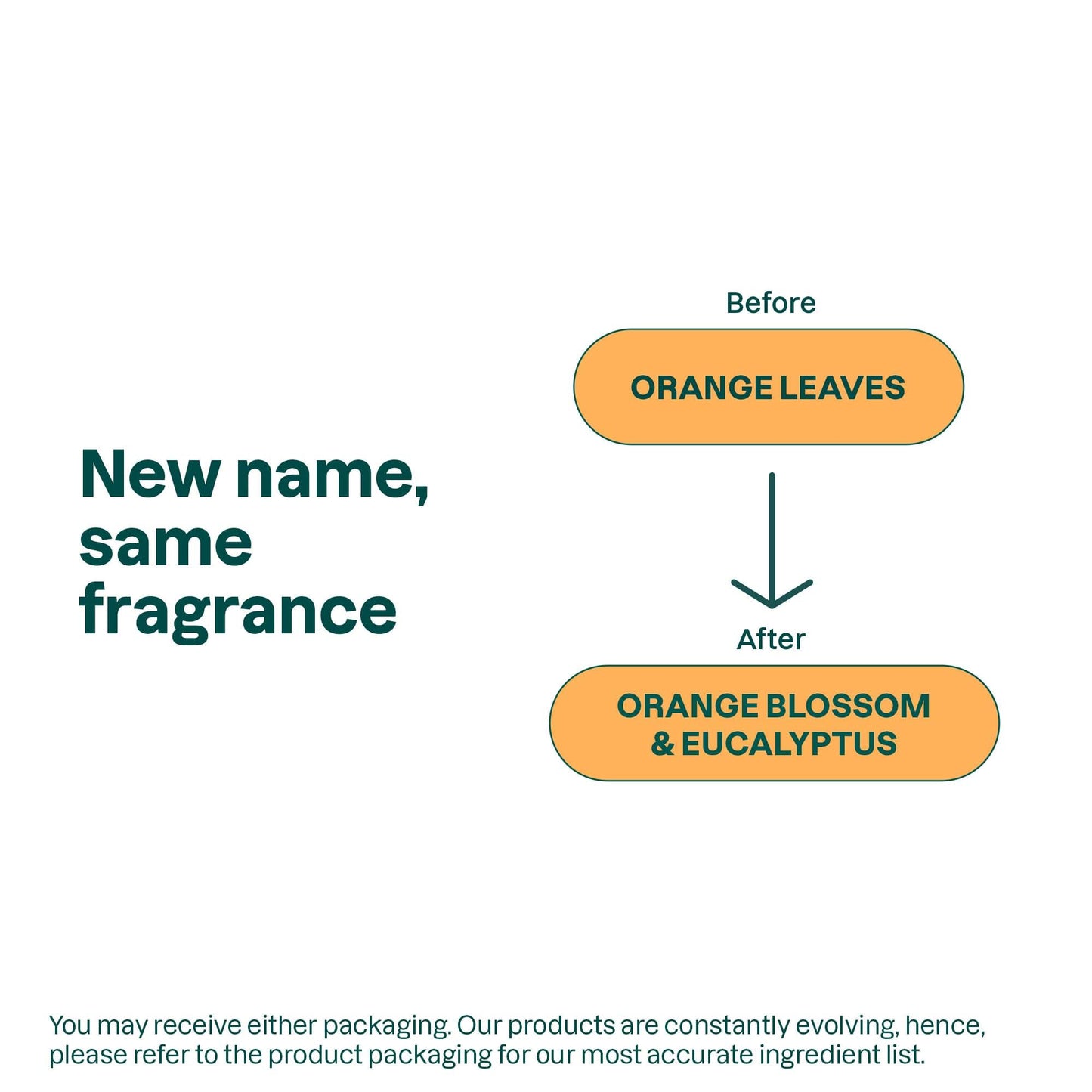 ATTITUDE Body Cream, EWG Verified, Plant- and Mineral-Based Ingredients, Vegan and Cruelty-free, Energizing, Orange Leaves, 8 Fl Oz