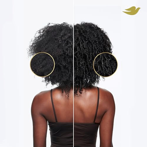 Dove Shampoo, Conditioner, & Mask Amino Curl Regimen Pack 4 Pk for Curly, Coily Hair with Bio-Protein Care Technology + Amino & Jojoba Oil