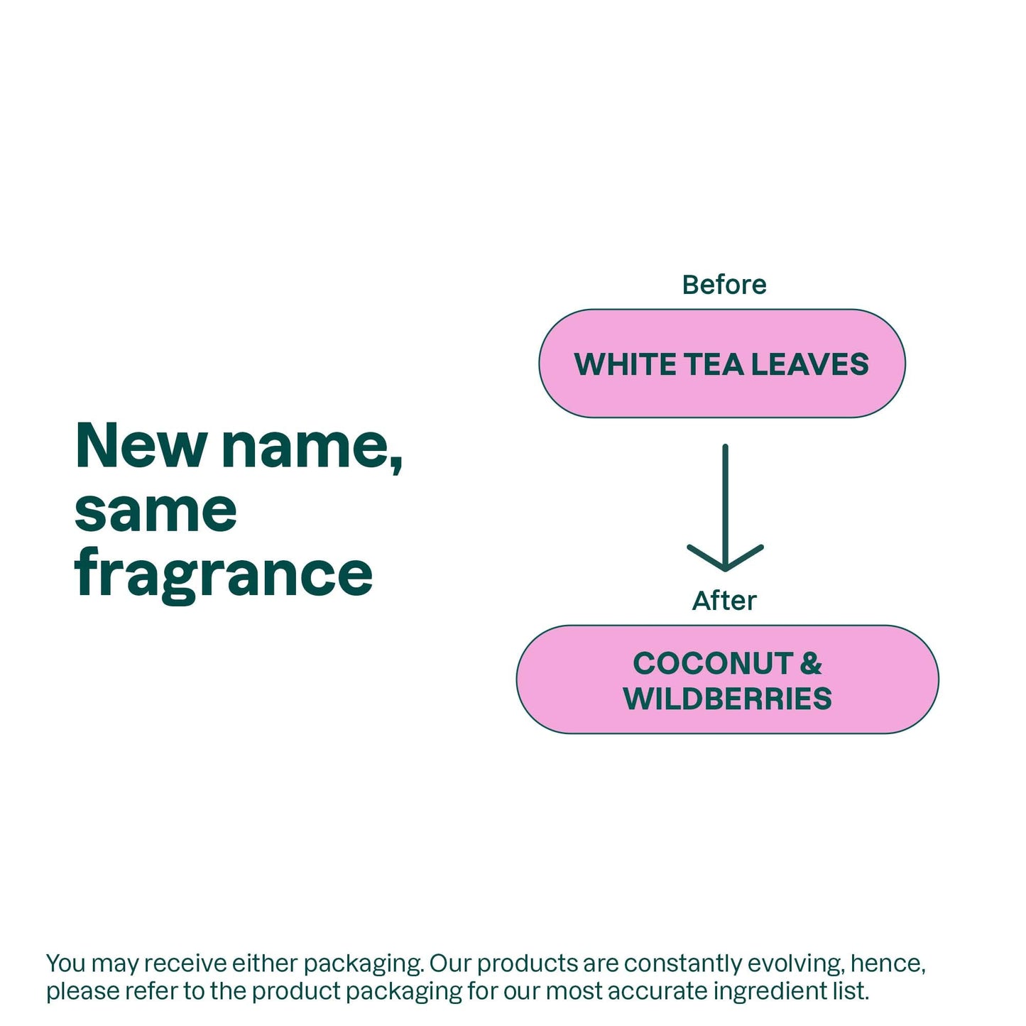 ATTITUDE Foaming Hand Soap, EWG Verified, Plant and Mineral-Based Ingredients, Vegan and Cruelty-free Personal Care Products, Coconut & Wild Berries Scent, 10 Fl Oz