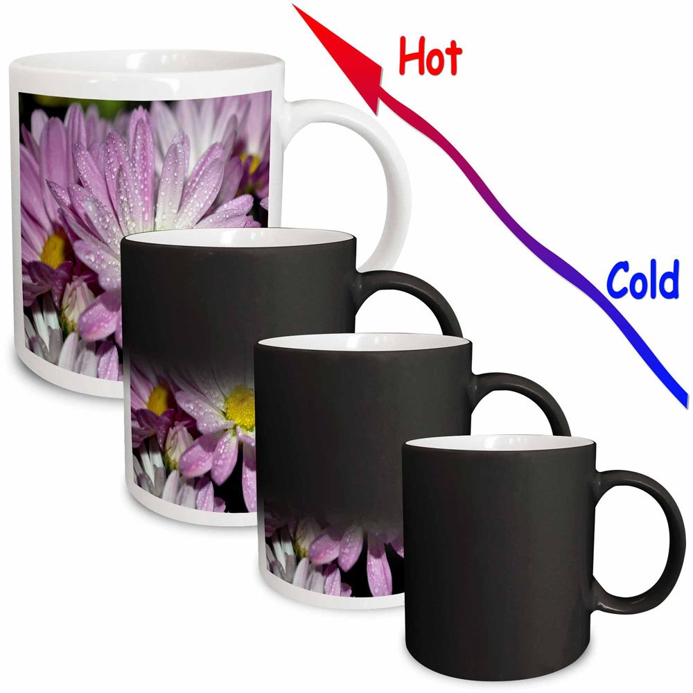 3dRose Potted Mums Light Purple Mums Magic Transforming Mug, 11-Ounce