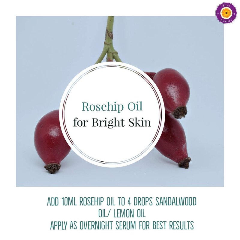 dève herbes Rosehip Oil (Rosa rubiginosa) | Cold Pressed | Pure | Natural | Undiluted | For Diluting Essential oils | For Skin & Massage | Non-Sticky| Lightweight| Men & Women | 50ml (1.69 oz)