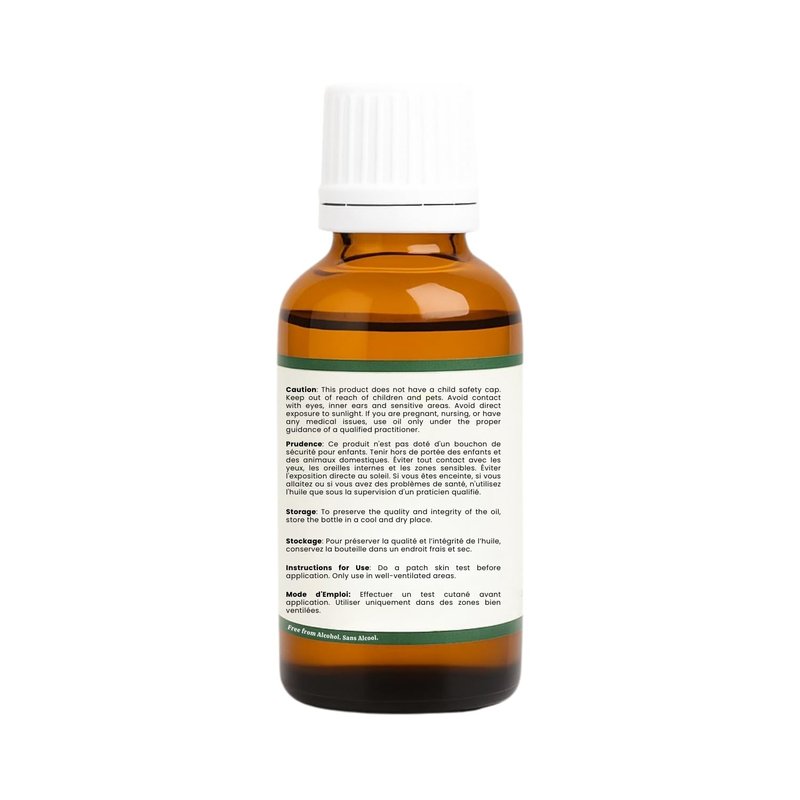 R V Essential Pure Thuja Essential Oil 30ml (1.01oz)- Thuja Occidentalis (100% Pure and Natural Steam Distilled)