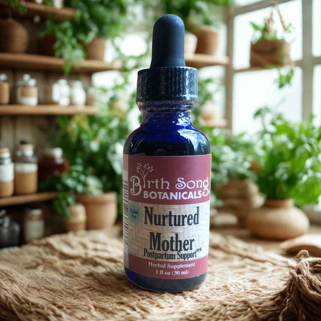 Birth Song Botanicals Nurtured Mother Postpartum Essentials and Support Supplement, Herbal Afterbirth Tincture for New Moms After Labor and Delivery, Natural Postpartum Care, 1oz Bottle