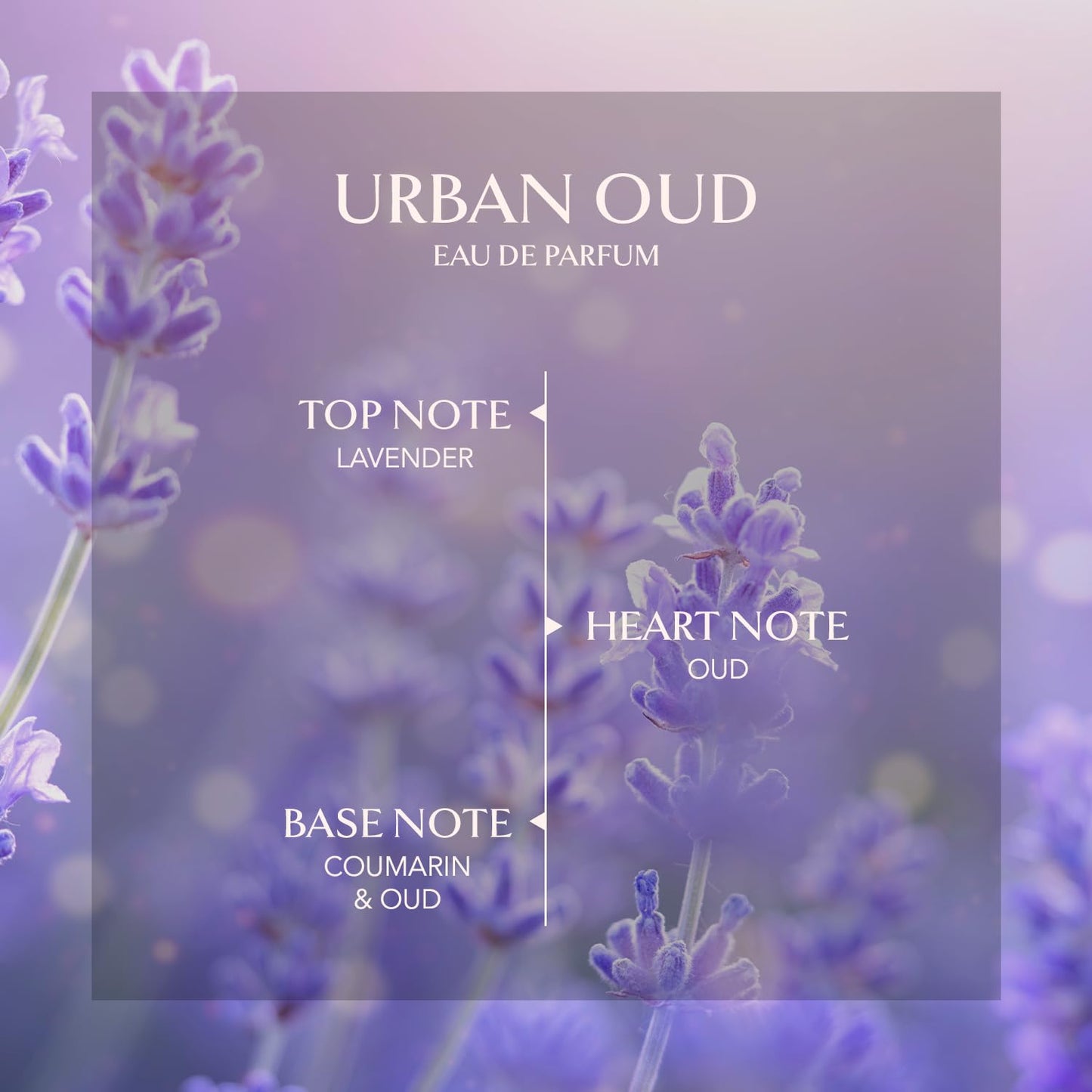EMBAROUGE URBAN OUD Unisex Fragrance | Perfume for Men and Women | Wood Top note | 100 ml pack | 3.4 Fl. Oz. | Oriental and Fougere fragrance | Gift for Men and Women | Eau de Parfum EDP