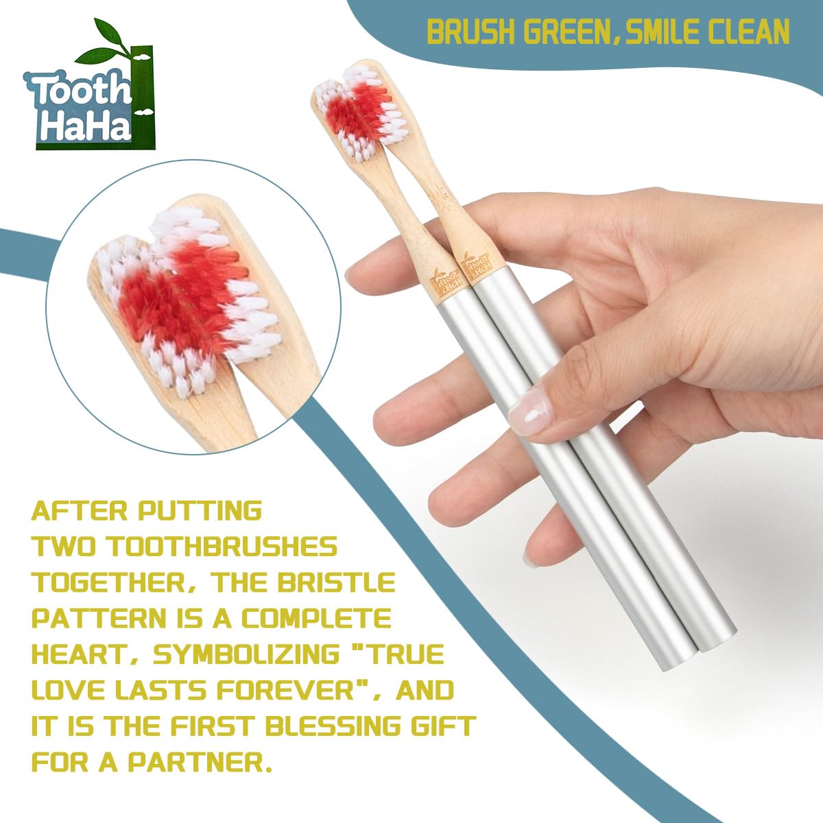Tooth HaHa Replaceable Brush Head Toothbrush, 2 Aluminum Alloy Handles and 4 Bamboo Brush Heads, BPA-Free, Soft Tapered Bristles, Metal Toothbrush Set, Couple's Gift or Birthday Present