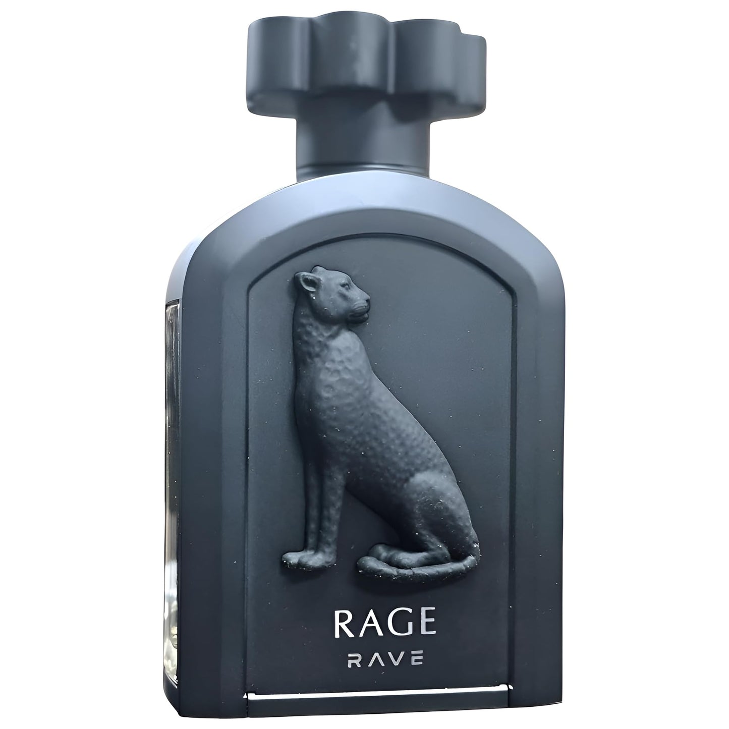 Rave Rage – Fruity, Spicy, Woody, Sweet – Eau de Parfum Spray Long-Lasting Fragrance for Unisex, 3.4 Ounce / 100 ml
