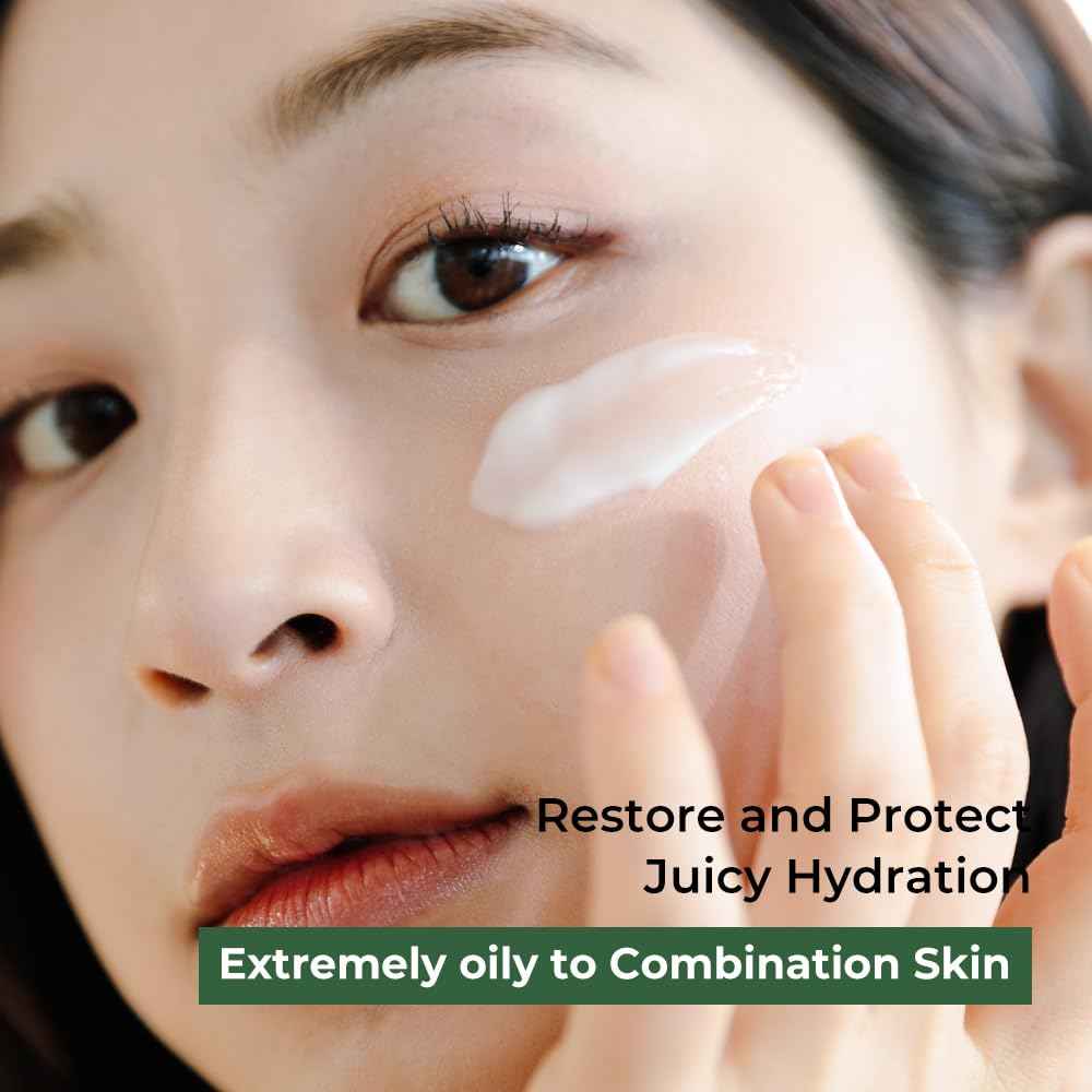 Fraijour Original Wormwood Calming Watery Cream – Korean Lightweight Gel Moisturizer for Oily, Combination & Sensitive Skin, Hydrating Aloe & Squalane, Non-Greasy, Quick Absorbing, 3.38 oz.