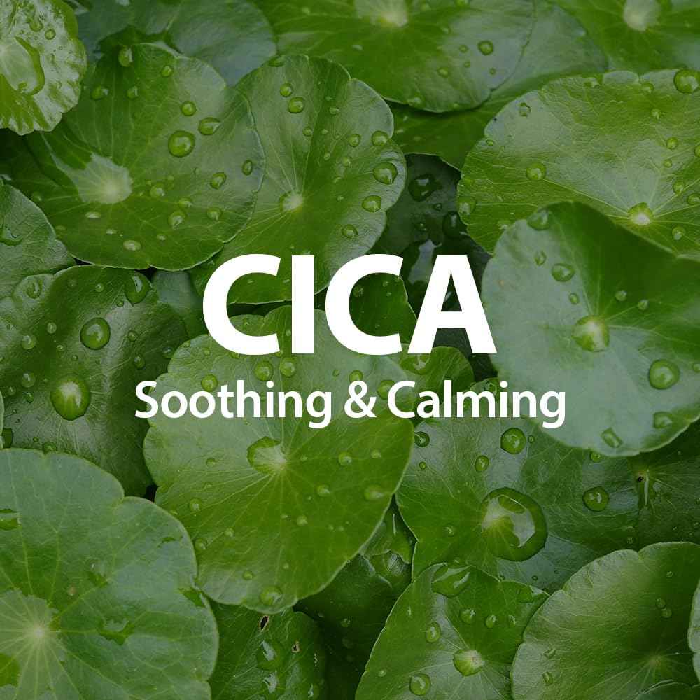 SUNGBOON EDITOR Saeng Cica Barrier Intense Cream | cica face moisturizer, soothing cream for dry & irritated skin, Korean skincare