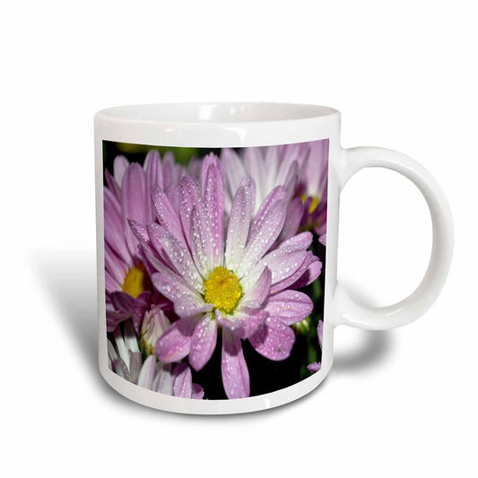 3dRose Potted Mums Light Purple Mums Magic Transforming Mug, 11-Ounce