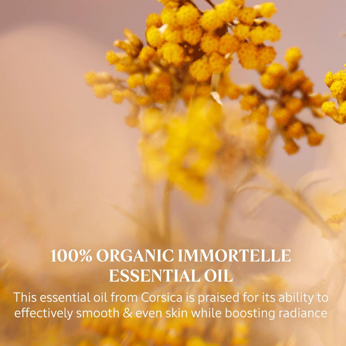 L'Occitane Immortelle Divine Foaming Cleansing Cream 4.40 fl oz