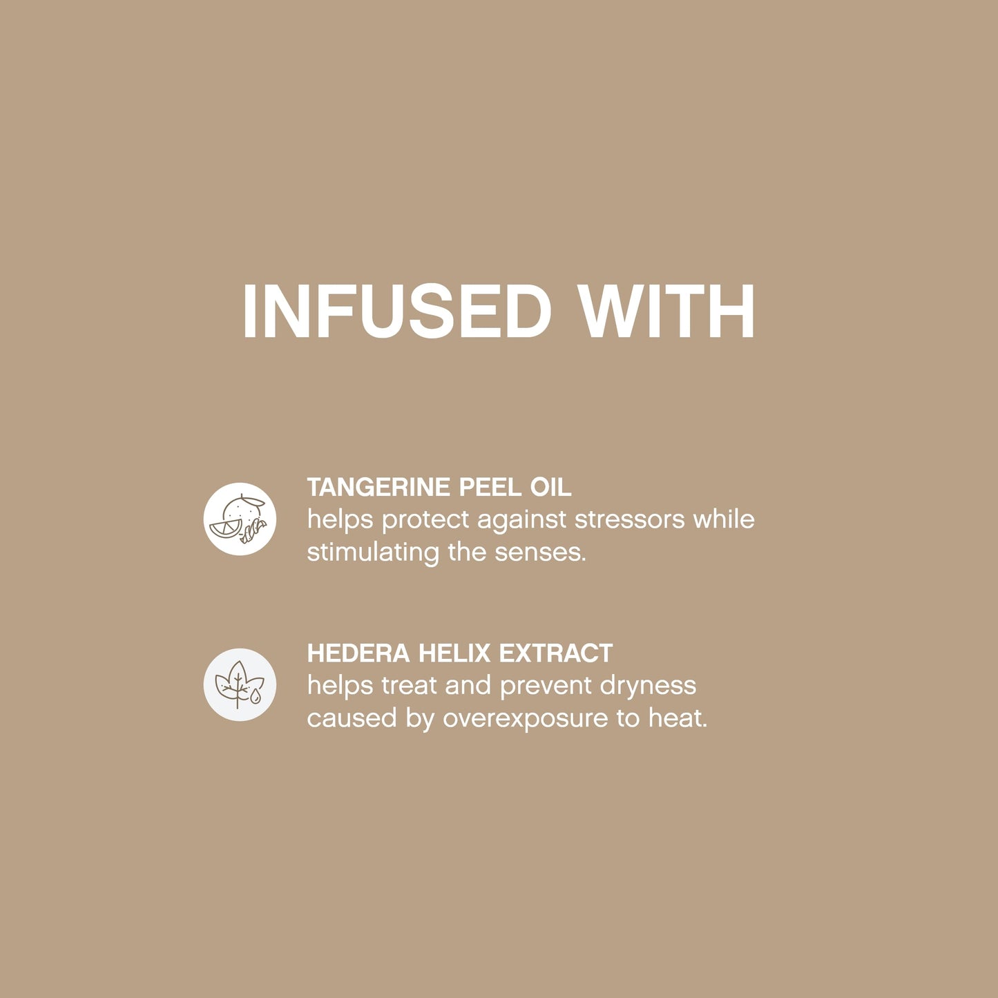 KEVIN.MURPHY Session Strong Hold Finishing Spray, 11.4 Fl Oz
