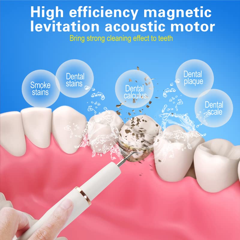 Professional Plaque Remover - Intelligent Teeth Cleaning Tool with 5 Modes & 4 Replaceable Heads | Dental Care Kit