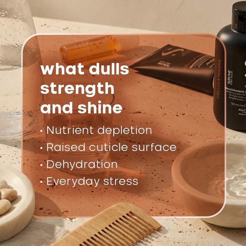 Alfaparf Milano Semi di Lino Cellula Madre Set | Nourishing Hair Treatment for Dry Hair - Enhances Shine & Color Protection