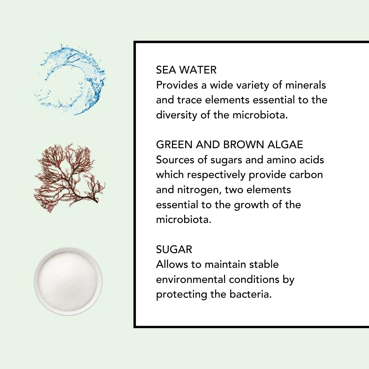 Lierac Demaquillant Deep Cleansing Foam - Foam Cleanser for Face, Purifies, Soothes, Gentle Face Wash for All Skin Types - 150ml Pump