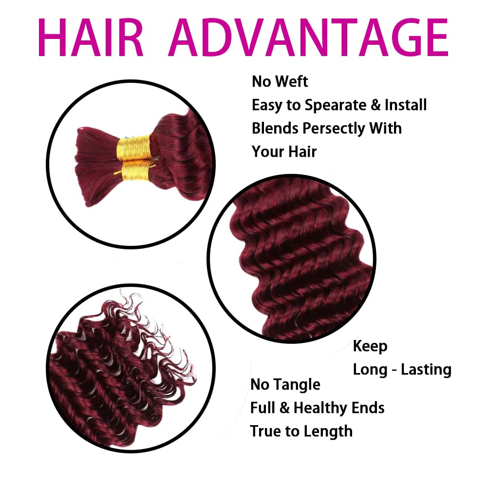 Burgundy Human Braiding Hair 14 Inch Deep Wave Bulk Human Hair for Braiding No Weft 2 Bundles 100g Curly Braiding Hair Brazilian Curly Human Hair Extensions for Boho Braids 99J Red Braiding Hair