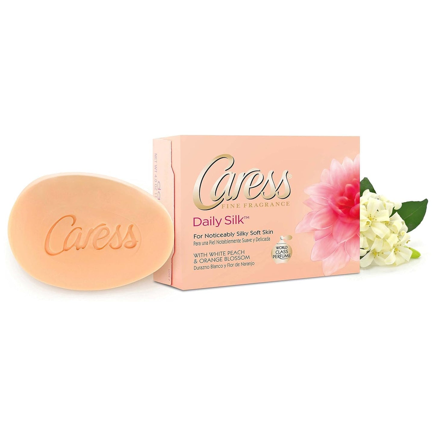 Caress Beauty Bar Soap Bundle with Bonus bath Sponge Loofah For Silky, Soft Skin Daily Silk With Silk Extract and Floral Oil Essence 3.75 oz (6)