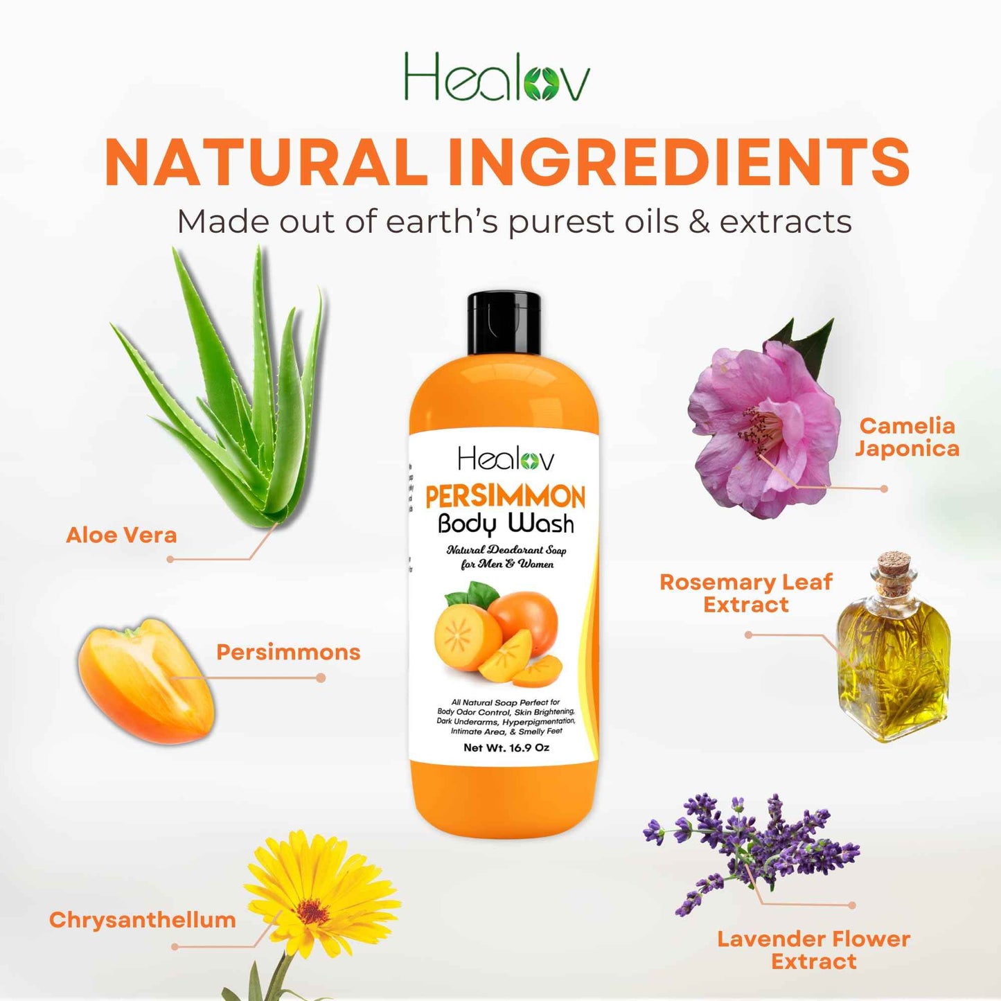 Healov Persimmon Body Wash for Body Odor Control – Purifying Deodorizing Soap for Eliminating Odor – Underarms, Intimate Inner Thigh, Bikini Area, Smelly Feet – Natural Deodorant Soap, Kids Safe