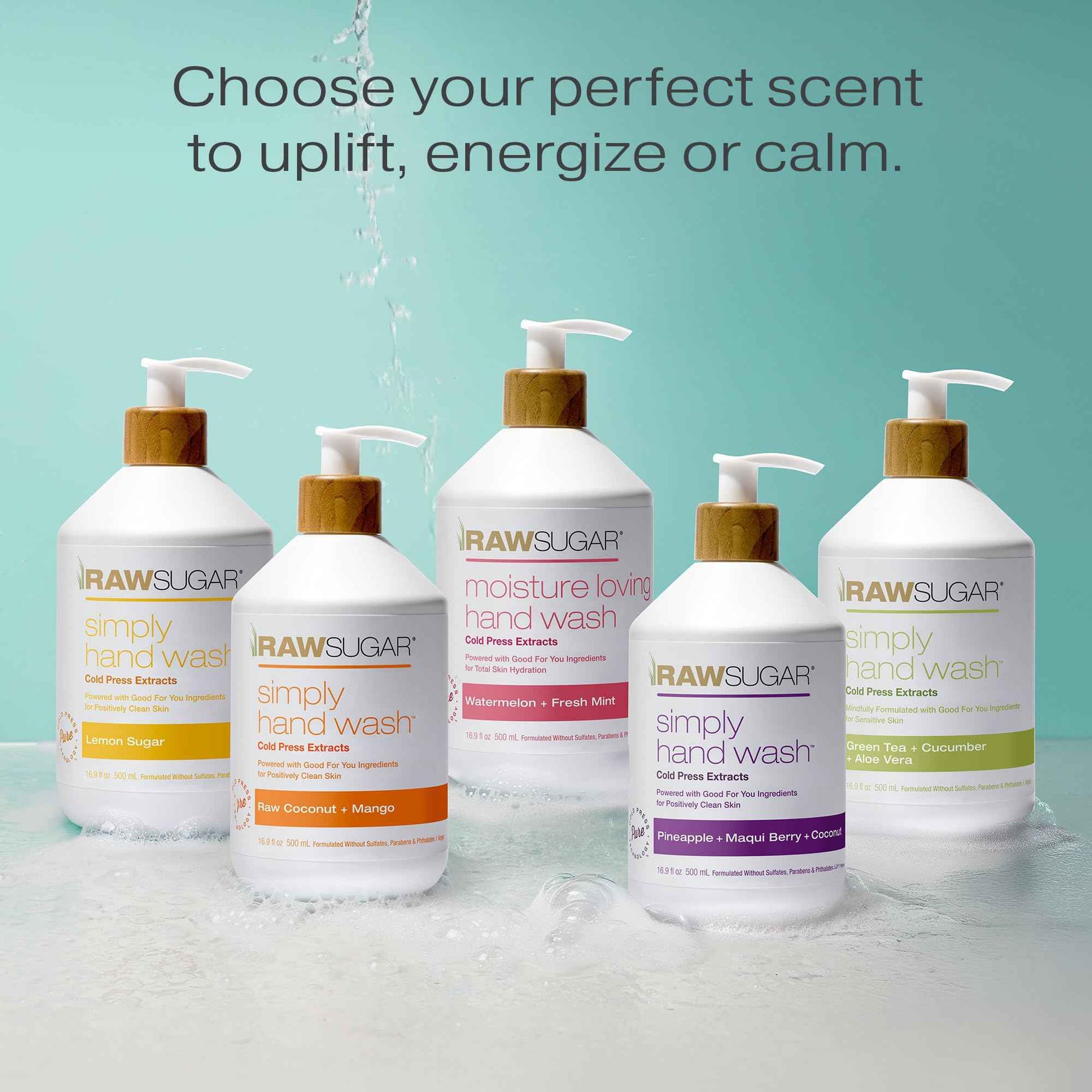 RAW SUGAR Simply Hand Wash, 16.9 Fl Oz (Pack of 4) Green Tea Liquid Hand Soap for Kitchen or Bathroom, Cleanses & Refreshes Hands, Formulated without Sulfates & Parabens