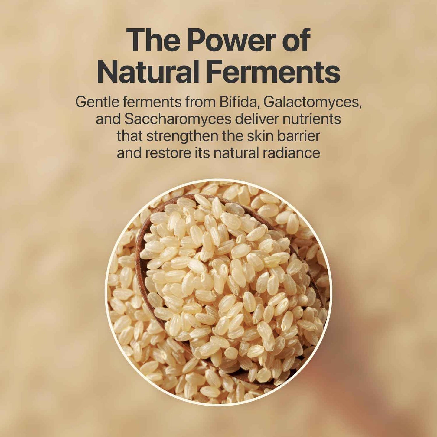 numbuzin No.3 Toner | Super Glowing Essence Toner | Skin Radiance, Pore Tightening, Skin Texture, Hydration | Fermented Ingredients, Niacinamide, Galactomyces | 6.76 fl. oz.