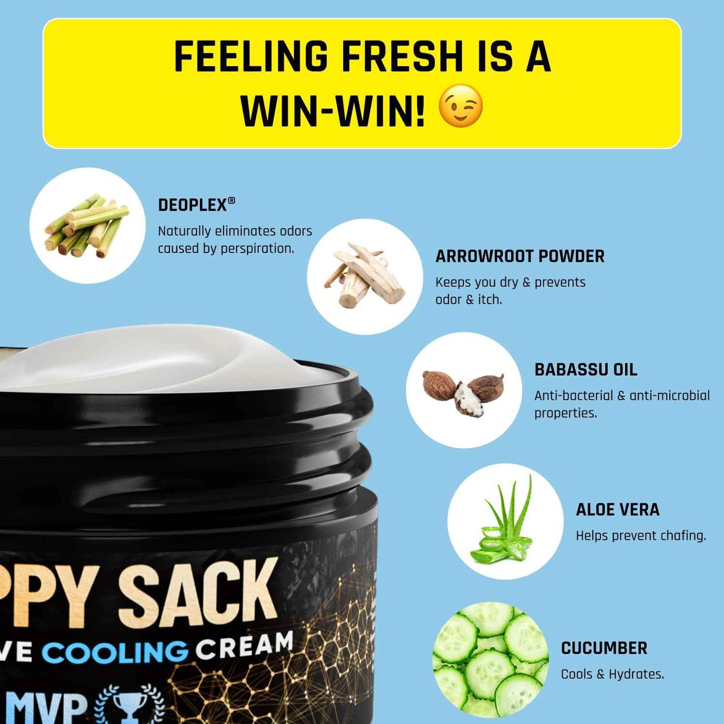 Derm Dude Happy Sack Ball Deodorant & Anti-Chafing Cream for Men | Nut Cooling Lotion for Groin & Private Parts | Odor Control, Aluminum-Free, DeoPlex Formula – MVP Scent, 2oz (1 Pack)