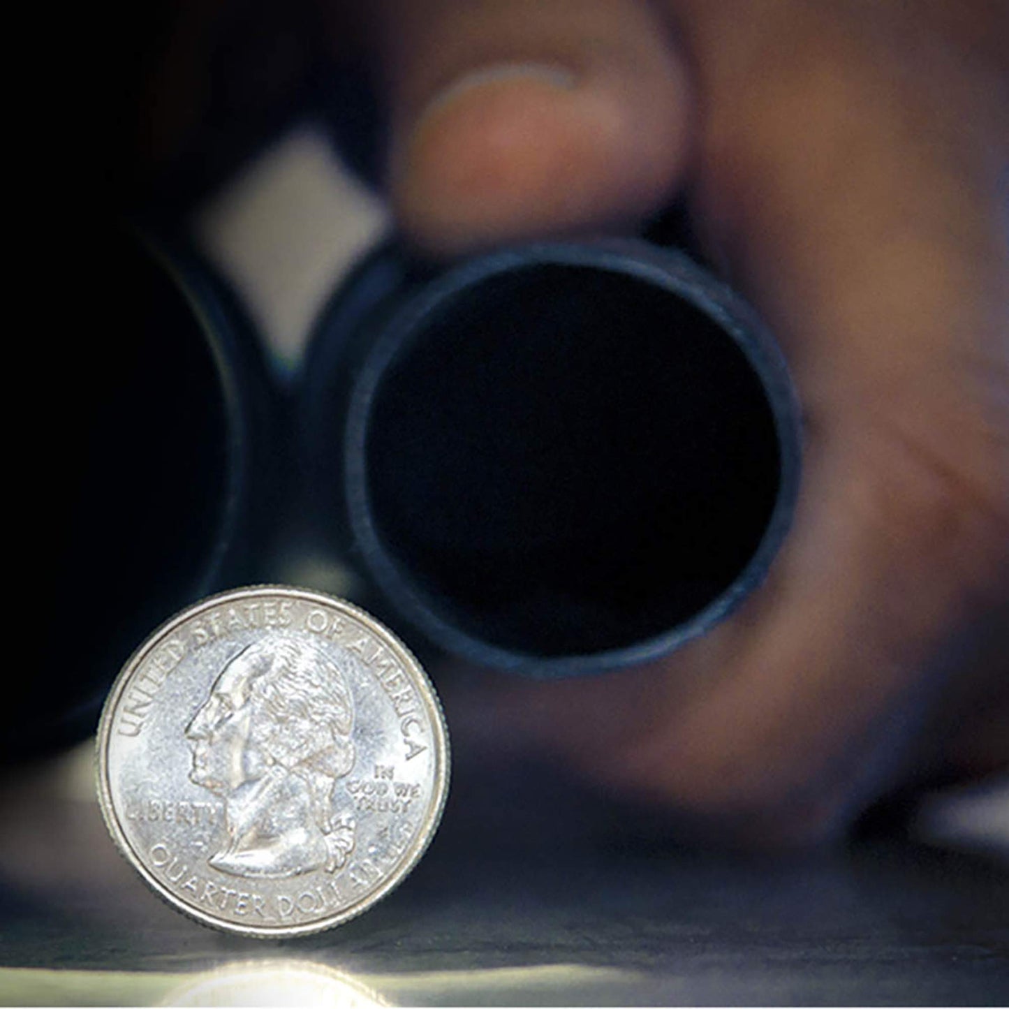 WORKSHOP Wet/Dry Vacs Shop Vacuum Accessories WS12501A Dusting Brush Attachment for Wet Dry Vacuum Cleaners, Fits 1-1/4-inch Extension Wands and Hoses