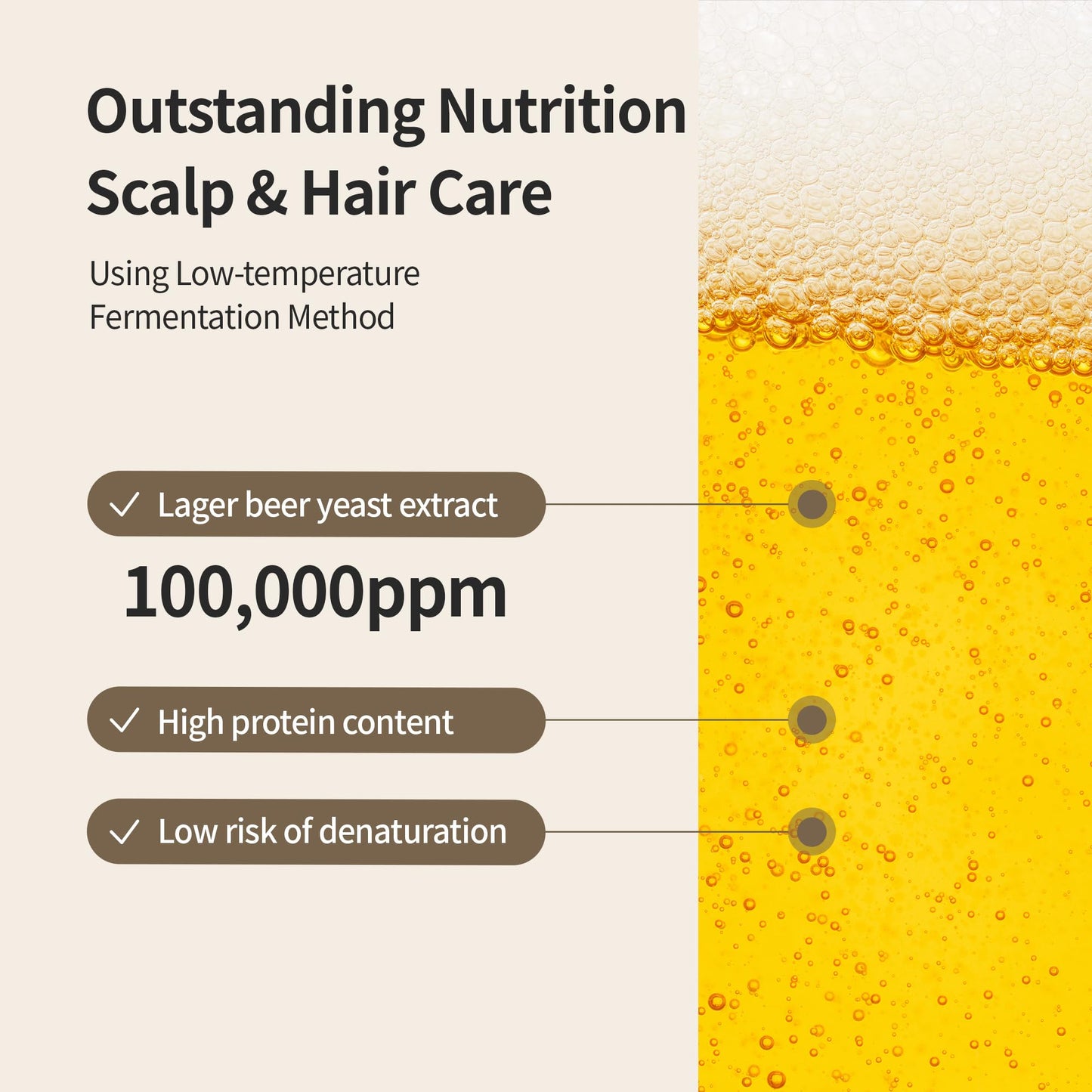 BENTON Beer Yeast Shampoo, Hair Loss Relief Biotin Shampoo for Thinning Hair – Volumizing, Regrowth Therapy, Scalp Calming – Paraben, Sulphate Free - 16.0 fl.oz.
