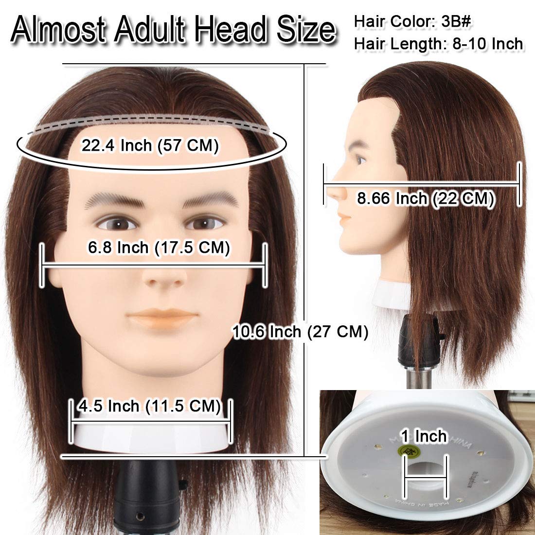 Newshair Male Mannequin Head with 100% Human Hair Haircut Training Head with Thick Hair Hairdresser Manikin Head Doll Head for Hair Styling and Practice Handsome Face Adult Head Size (8-10Inch 3B#)