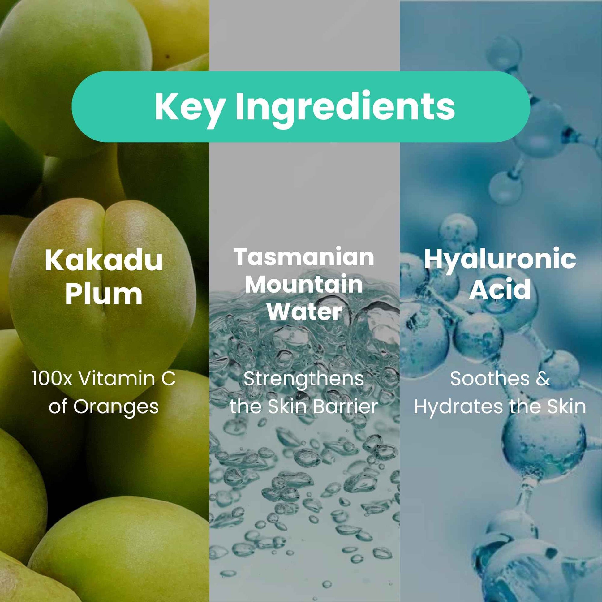 Feat By You ViTassie Pure Mountain Water First Care Toner - (5.41 FL OZ) Hydrating Toner for Face with Vitamin C & Hyaluronic Acid, Korean Skin Care Pore Minimizer Facial Toner, Vegan, Made in Korea