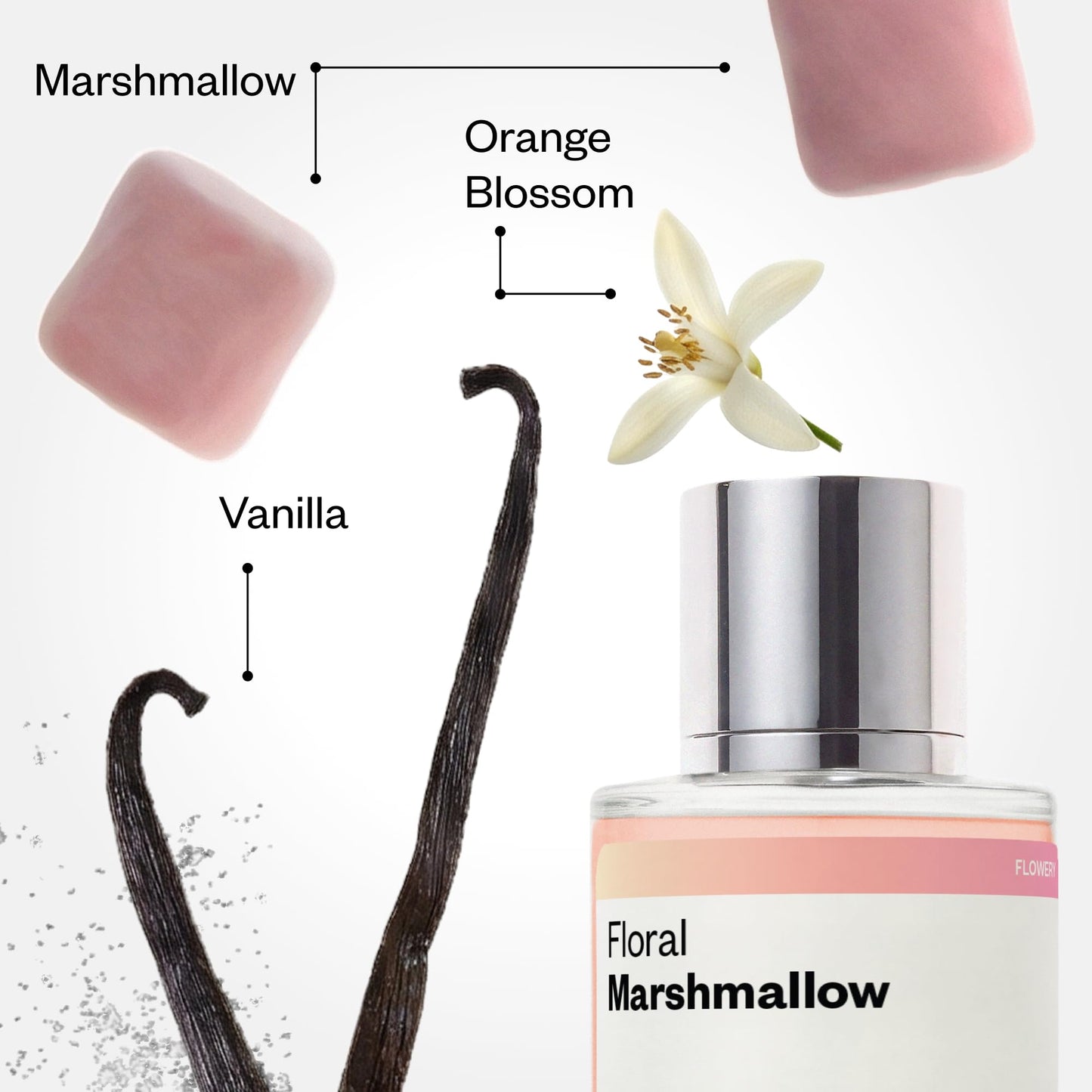 Dossier - Floral Marshmallow - Eau de Parfum - Inspired by Love, Don't Be Shy - Long-Lasting Fragrance - Feminine - 1.7 fl oz (50ml)