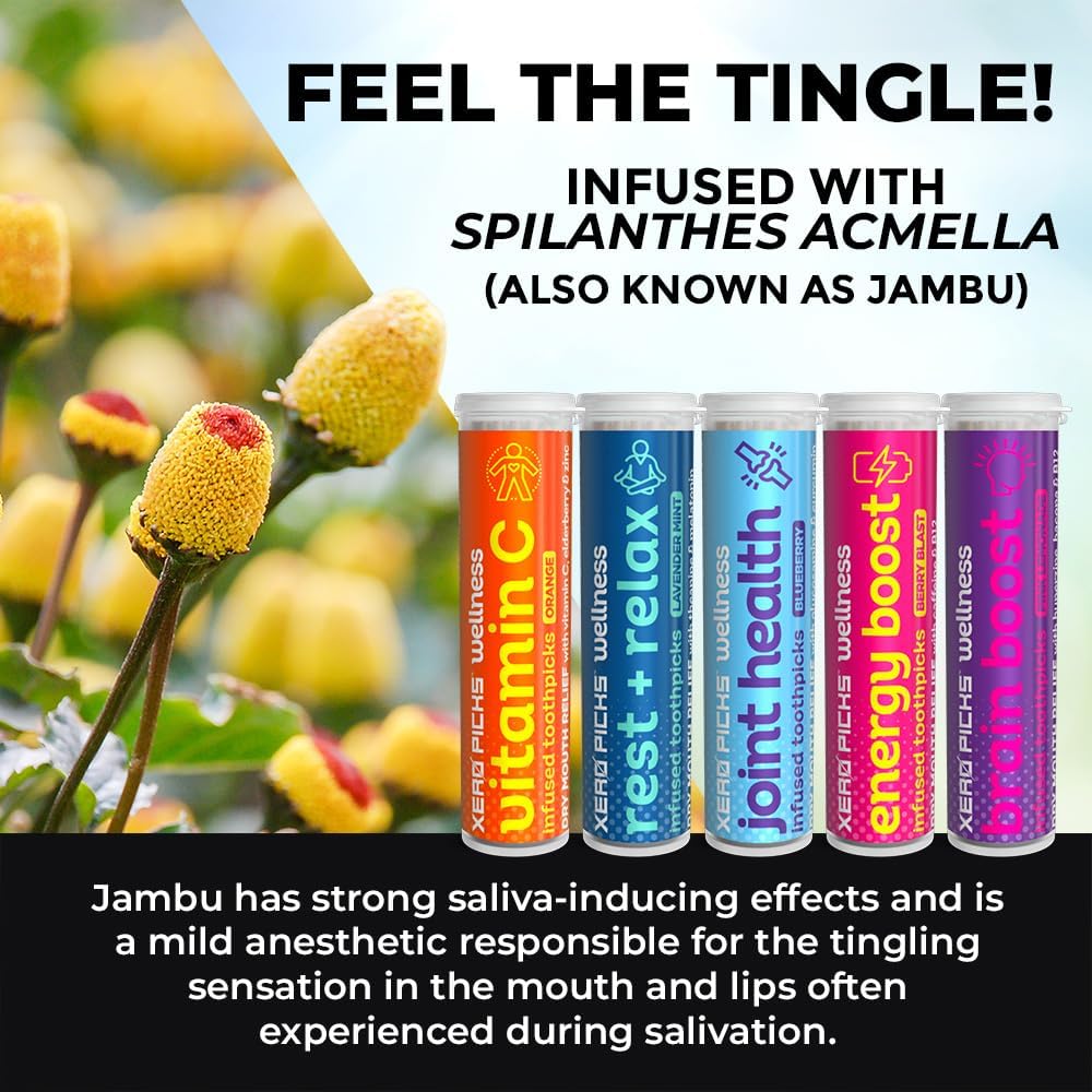Xero Picks Wellness Toothpicks - Brain Boost & Immunity Support | 100 Sugar-Free Picks (5 Flavor Variety)