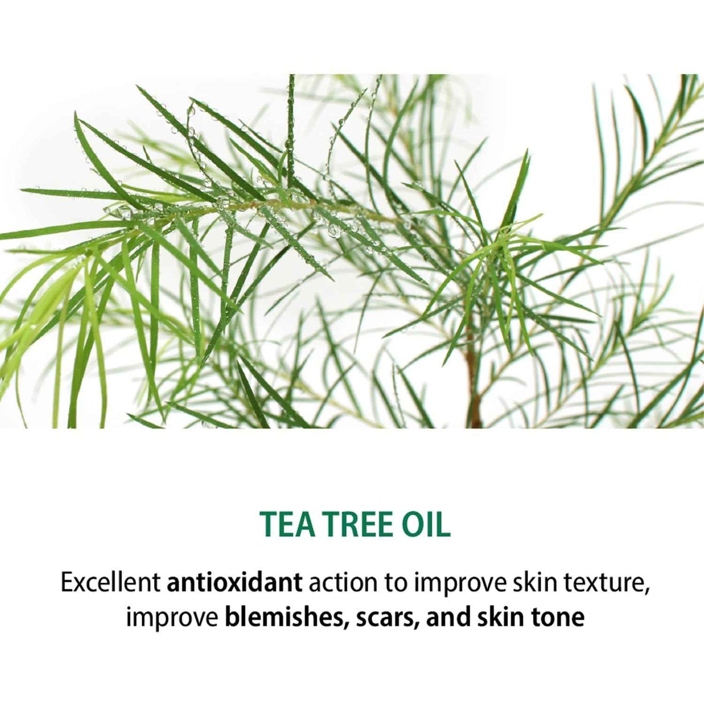 DEARBOO SKIN Balancing Centella Cica Zero Facial Emulsion 5.07 fl.oz(150ml) | AHA BHA PHA and Teatree | Soothing, Calming, Moisturizing for Sensitive Skin | Daily Korean Skincare