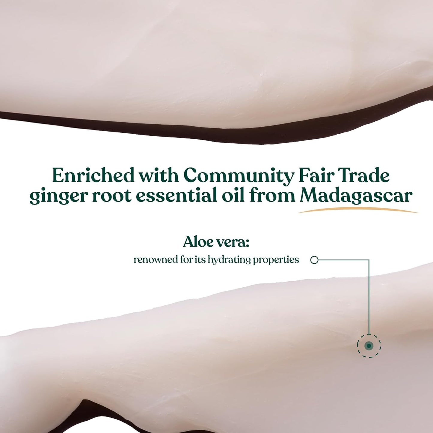 Ginger Conditioner for Scalp Care - Refreshing Vegan Formula with Ginger Essential Oil | 8.4 fl oz