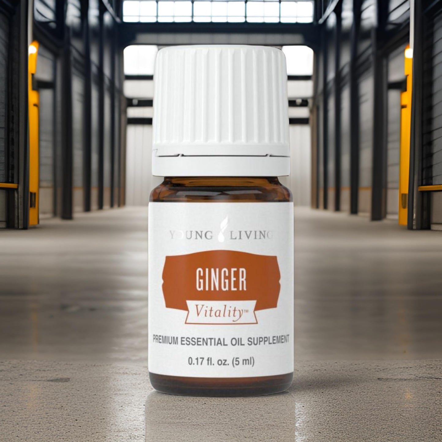 Young Living Ginger Vitality Essential Oil 5ml - Spicy Flavor Enhancer for Sweet and Savory Dishes - Digestive System Support - Culinary Aromatherapy for Cooking
