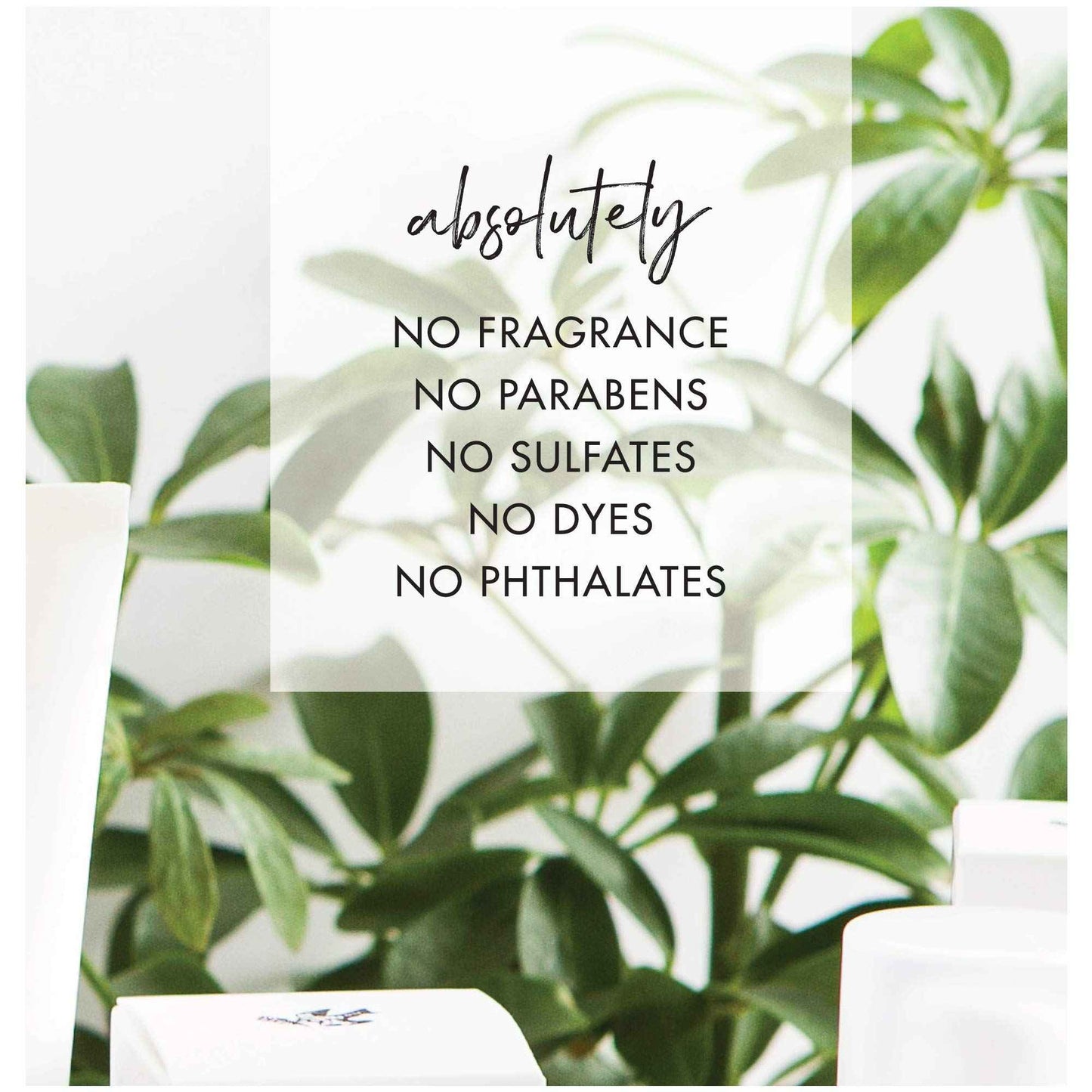 De La Terre All Natural Sensitive Skin Collection Fragrance Free, Moisturizing & Hydrating, Face Cream, 50 ML