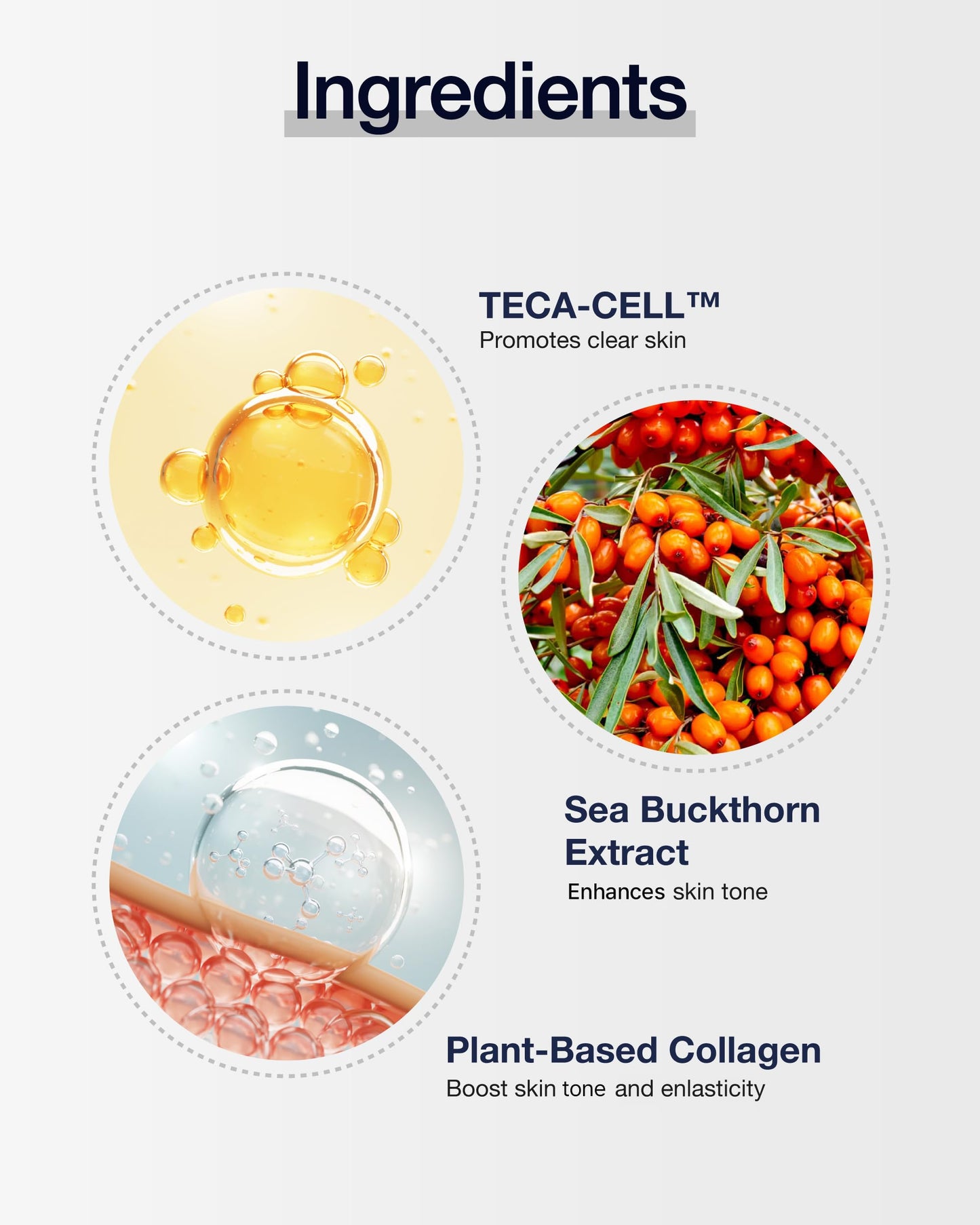 CENTELLIAN 24 Expert Madeca Cream (1.69fl oz) - Premium Lasting Hydration Moisturizer for Dry, Sensitive Skin. Centella Asiatica, TECA, Gotu Kola