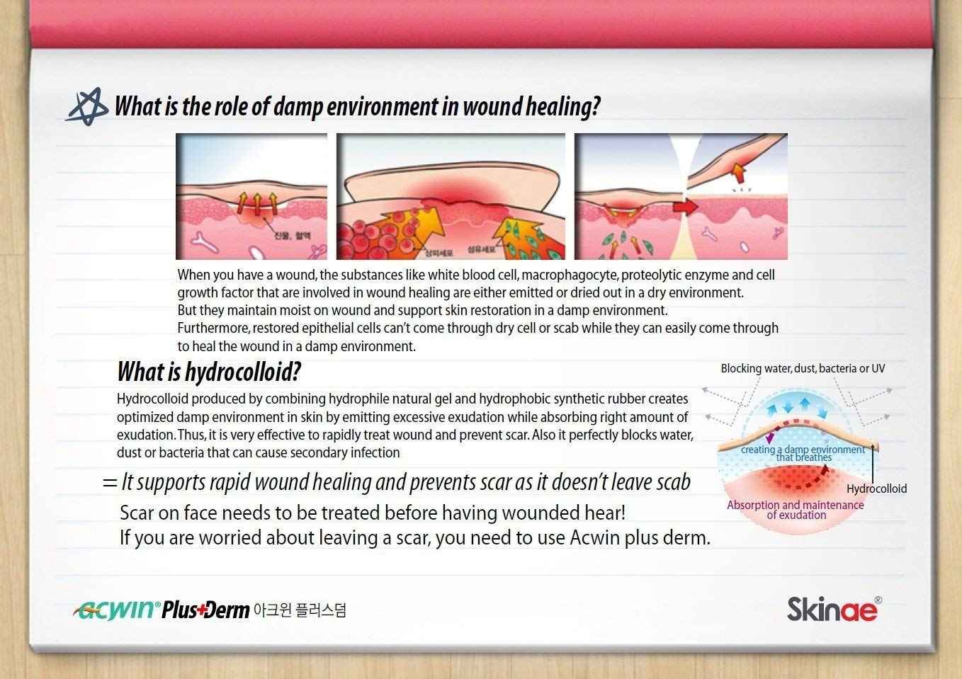 Acwin Plus Derm 4 Pack Acne Spot Pimple Absorbing Cover Patch, Moist Wound Dressing for Skin Trouble Acne Pimple Care Hydrocolloid Patch (Total 272 count)