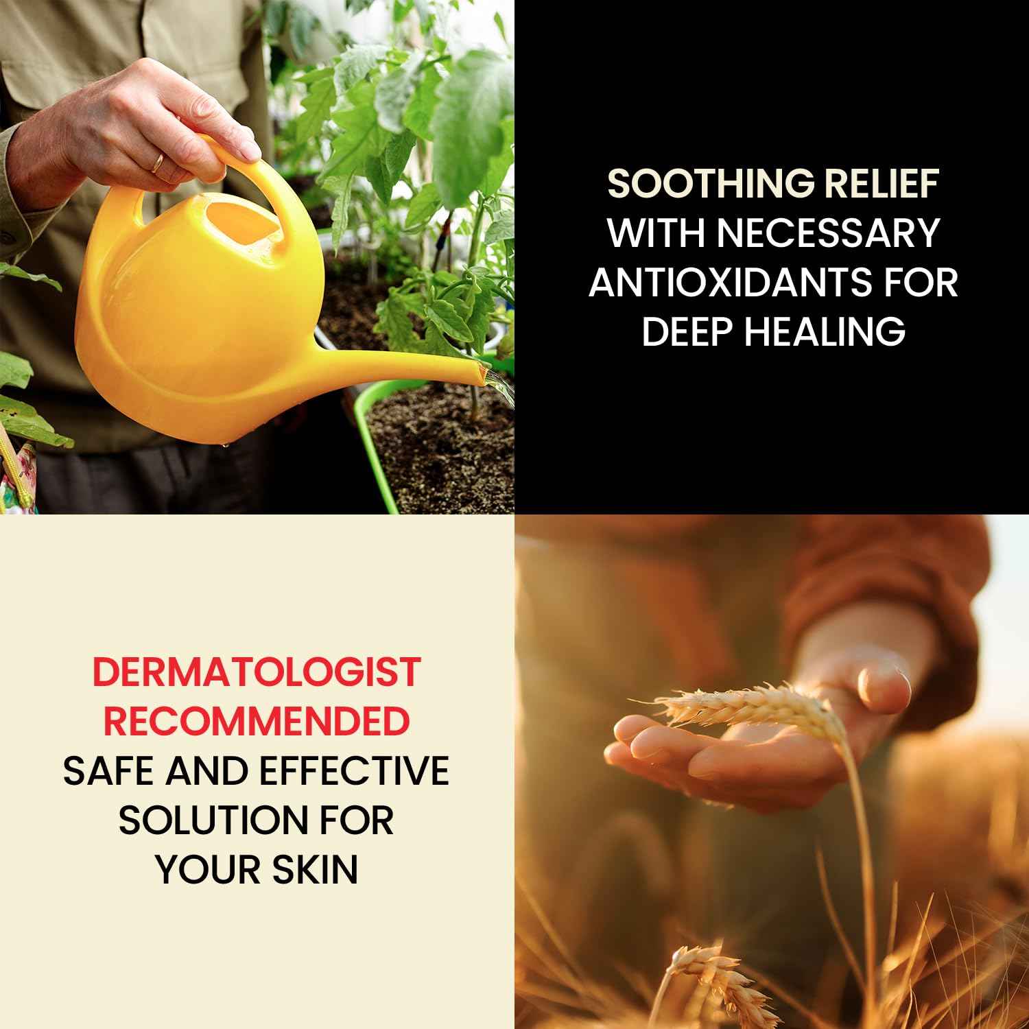 Dr. Hess Skin Moisturizer for Bed Sore Prone & Dry Skin, All Natural with Lanolin, Olive Oil, Jojoba Oil & Beeswax, Paraben & Sulfate Free, Hydrating Body & Face Cream, 4 oz, 2 Pack