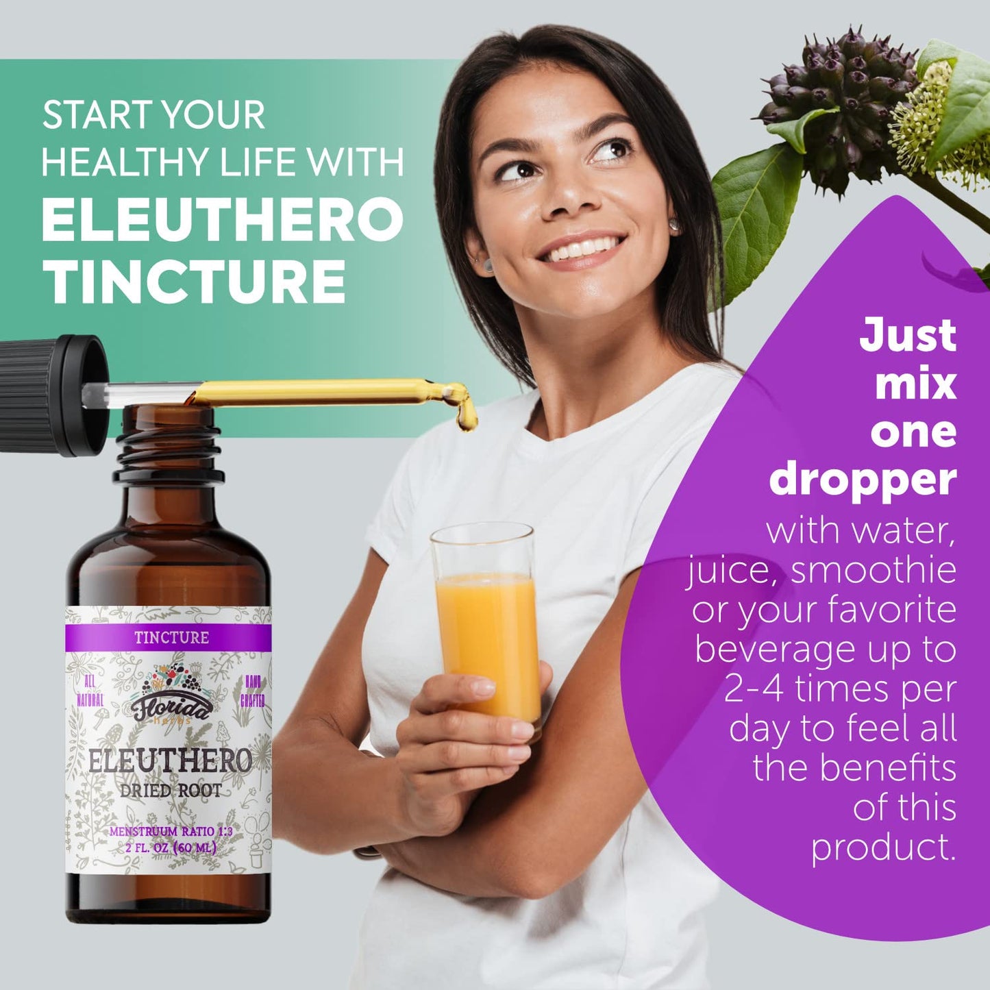FLORIDA HERBS Eleuthero Tincture, Organic Eleuthero Extract (Siberian Ginseng, Eleutherococcus senticosus)