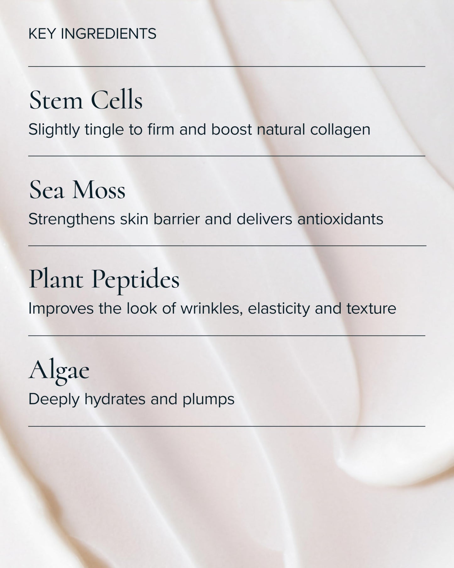 MARA SeaDream Firming Algae Crème Moisturizer – Rich Overnight Face Cream with Plumping Peptides Sea Moss & Stem Cells – Anti-Aging Moisturizer to Firm, Hydrate & Plump Skin (1.7 oz / 50 ml)