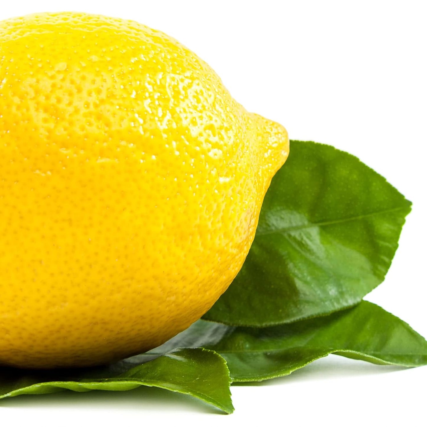 Earth To Skin Lemon & Basil Hand & Body Creme Gel - Hydrating Formula | 8 Fl Oz (Pack of 2)